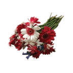 Flowers & Floral Trimmings
